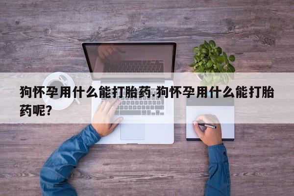 打胎药专卖微信联系方式亲测有效!狗怀孕用什么能打胎药.狗怀孕用什么能打胎药呢？