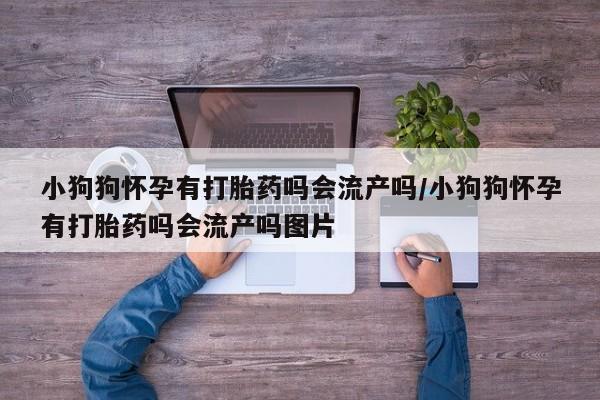 打胎药专卖微信联系方式亲测有效!小狗狗怀孕有打胎药吗会流产吗/小狗狗怀孕有打胎药吗会流产吗图片