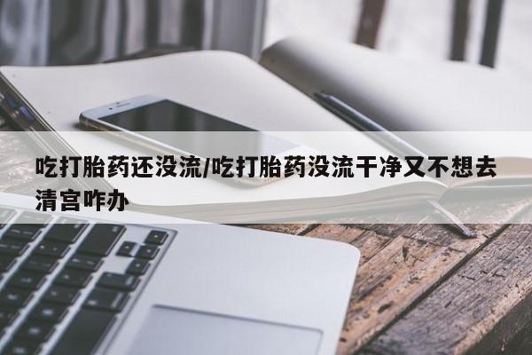 打胎药专卖微信联系方式亲测有效!吃打胎药还没流/吃打胎药没流干净又不想去清宫咋办