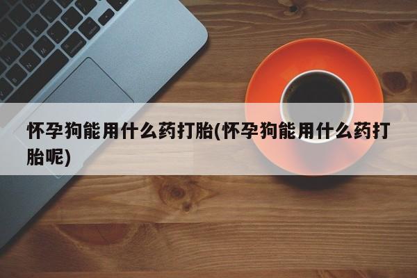 打胎药专卖微信联系方式亲测有效!怀孕狗能用什么药打胎(怀孕狗能用什么药打胎呢)