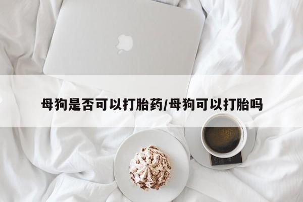 打胎药专卖微信联系方式亲测有效!母狗是否可以打胎药/母狗可以打胎吗