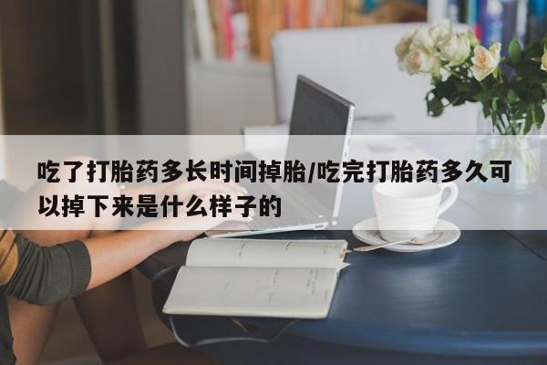 打胎药专卖微信联系方式亲测有效!吃了打胎药多长时间掉胎/吃完打胎药多久可以掉下来是什么样子的